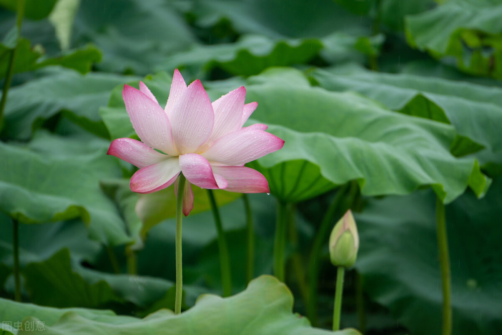 手机版拈花新闻网无锡拈花湾天气预报