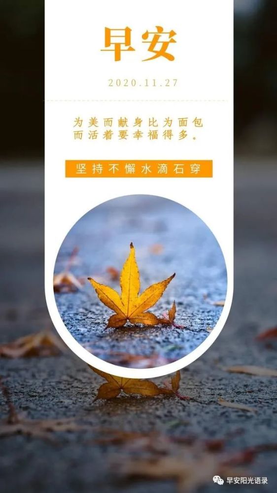 手机早安新闻哪里有接下去有哪些手机发布-第2张图片-太平洋在线下载