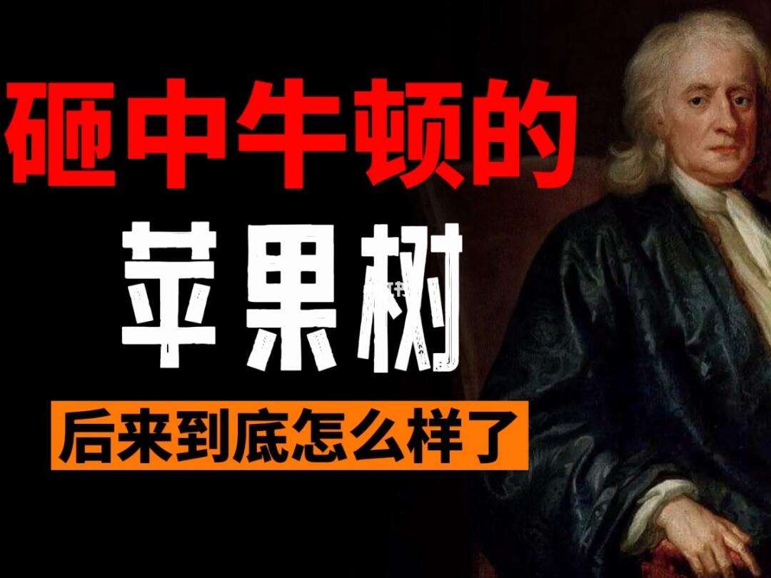 牛顿与苹果树手机版牛顿与苹果的故事ppt