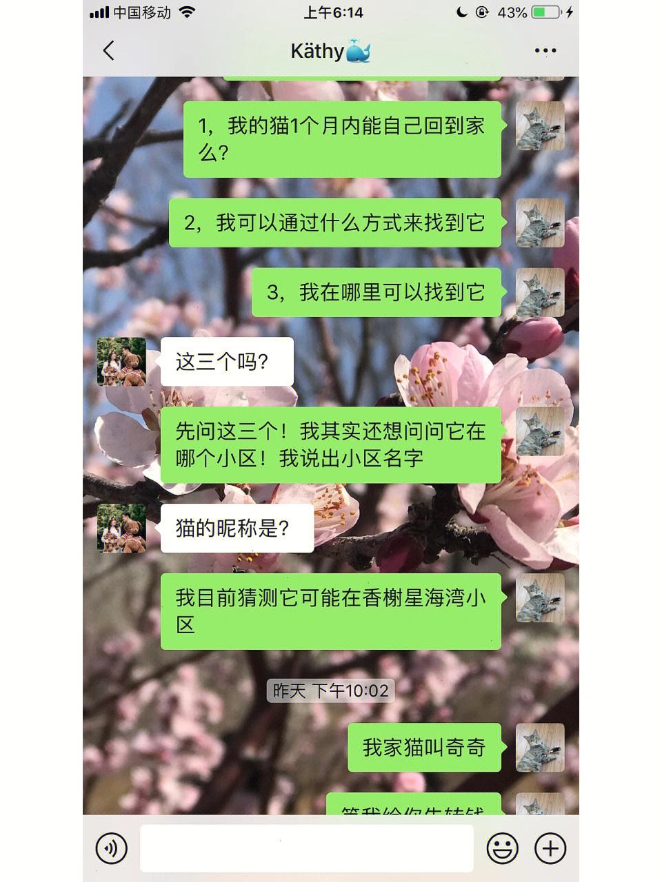 天涯亮钻大师苹果版牛大师苹果解锁免费版-第2张图片-太平洋在线下载