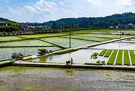 农事直道苹果版农业种植技术网站