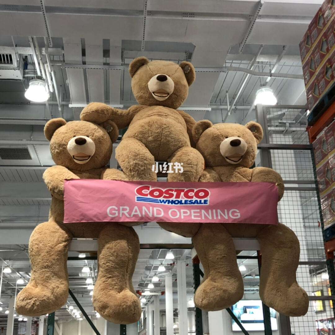 手机版第三书包网首页(第三书包_书友最值得收藏的网络小说阅读网)-第3张图片-QuickQ官网