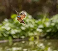 迎丰捕鱼手机版下载(捕鱼app官网下载)-第1张图片-QuickQ官网 迎丰捕鱼手机版下载(捕鱼app官网下载)-第1张图片-QuickQ官网