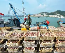 迎丰捕鱼手机版下载(捕鱼app官网下载)-第2张图片-QuickQ官网 迎丰捕鱼手机版下载(捕鱼app官网下载)-第2张图片-QuickQ官网