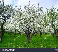 ourxmap苹果版(ourplay商店苹果版)-第2张图片-QuickQ官网