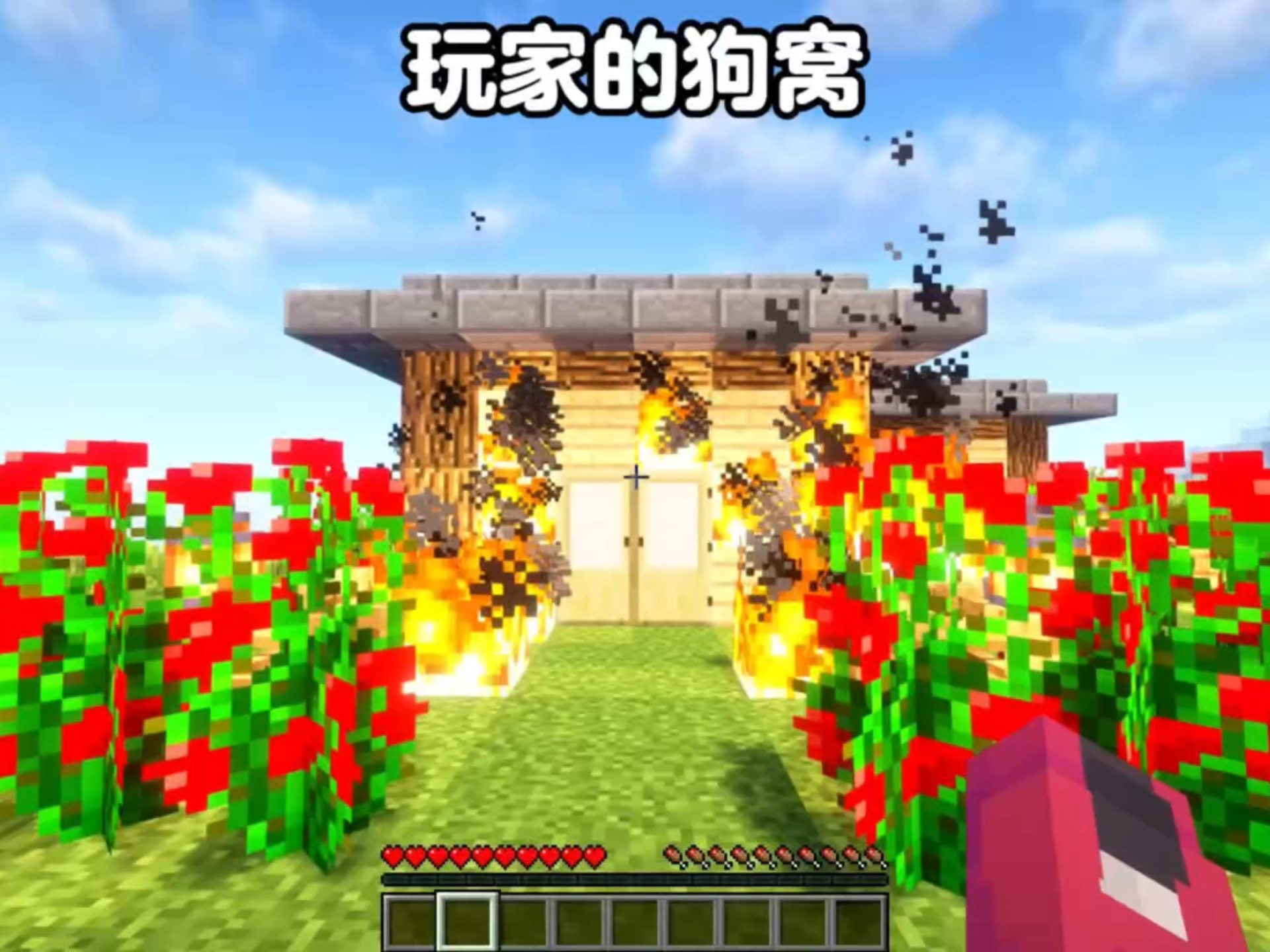 我的世界手机版狗窝(我的世界狗窝怎么做?)-第2张图片-QuickQ官网 我的世界手机版狗窝(我的世界狗窝怎么做?)-第2张图片-QuickQ官网